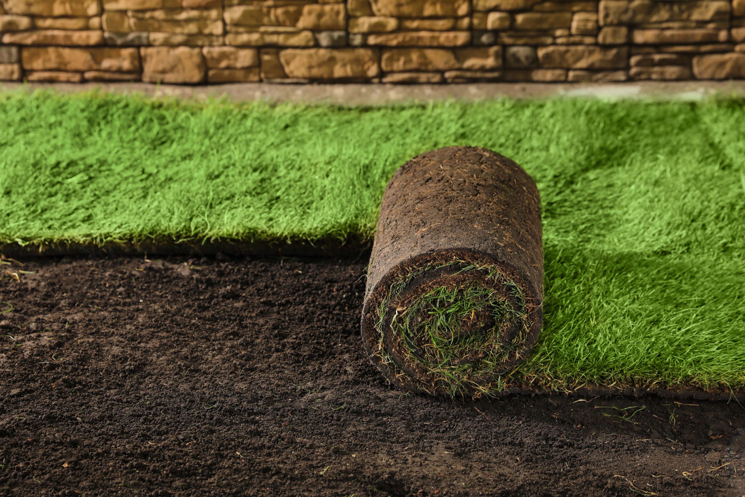 Laying grass sods at backyard. Home landscaping